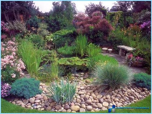 Rockery landscape design