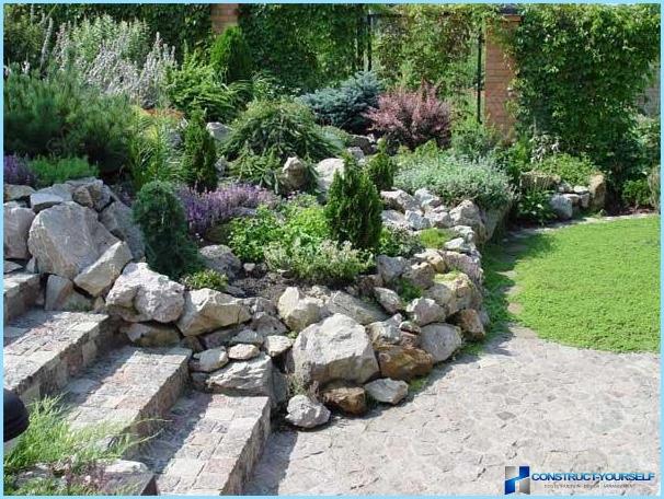 Rockery landscape design