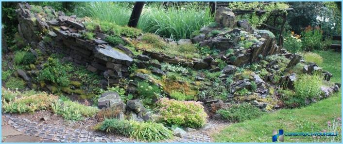 Rockery landscape design