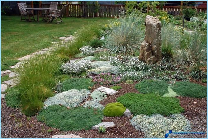 Rockery landscape design