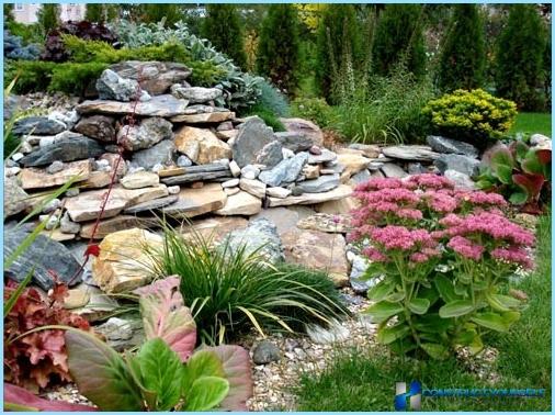 Rockery landscape design