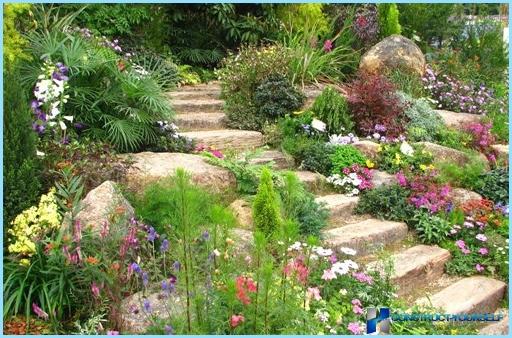 Rockery landscape design