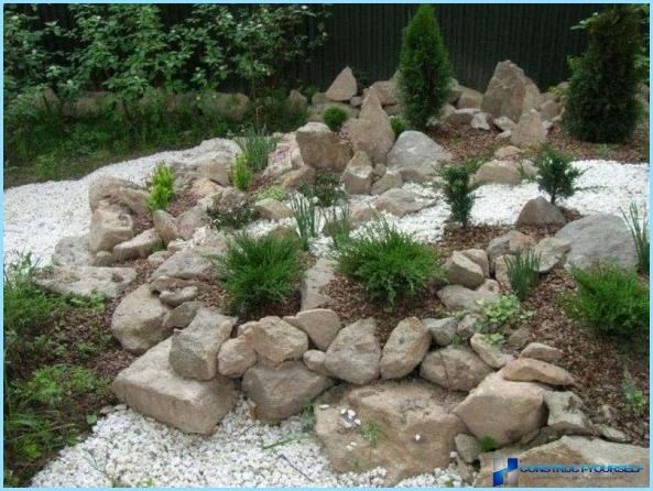 Rockery landscape design