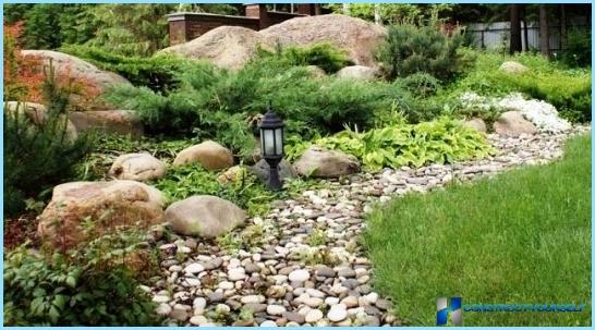 Rockery landscape design