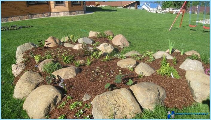 Rockery landscape design