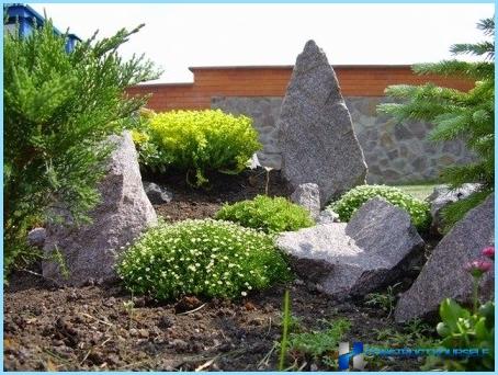 Rockery landscape design