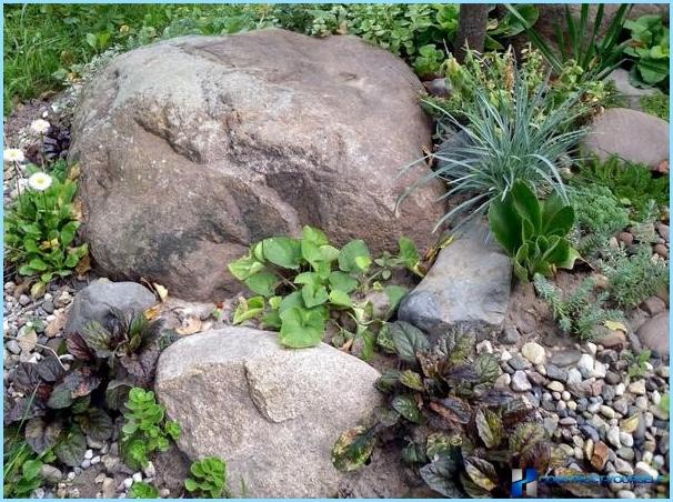 Rockery landscape design