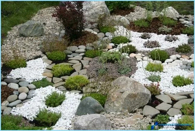 Rockery landscape design