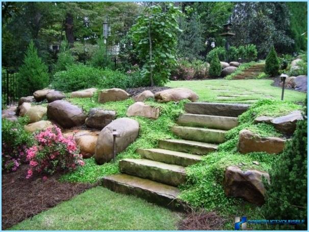Styles of landscape design and their characteristics