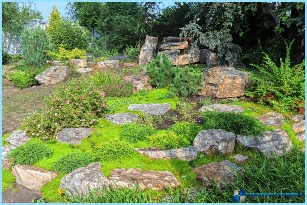 Styles of landscape design and their characteristics