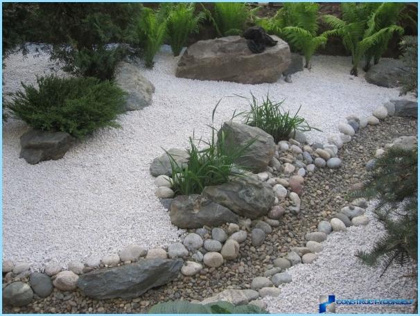 Landscaping a small suburban area