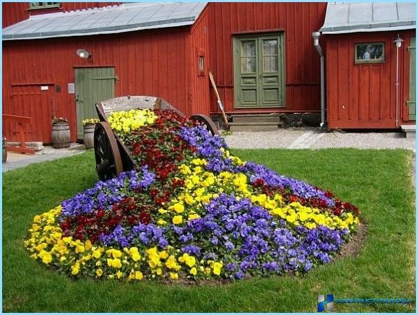 Landskap av en liten sommarstuga