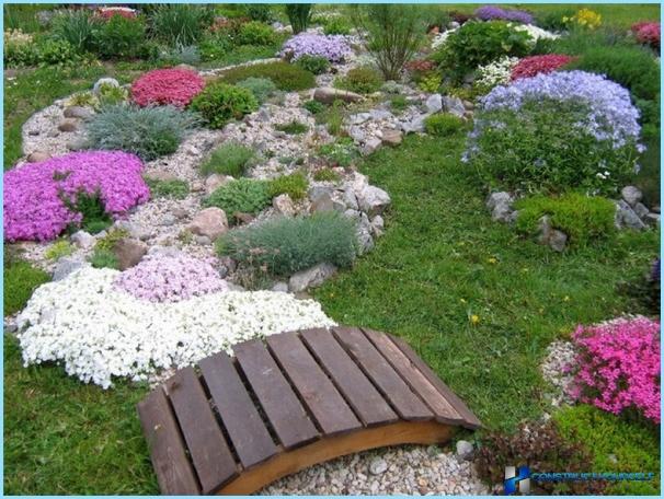 Landschaftsgestaltung eines kleinen Sommerhauses