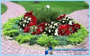 Beautiful design and decoration of flower beds and flower beds at the cottage