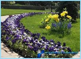 Smuk design og dekoration af blomsterbed og blomsterbed i landet