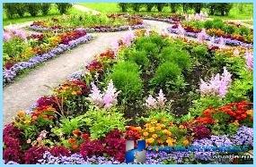 Vacker design och dekoration av blomsterrabatter och blommor i landet