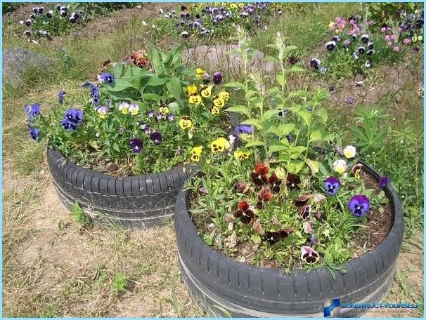 Beautiful design and decoration of flower beds and flower beds at the cottage