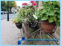 Beautiful design and decoration of flower beds and flower beds at the cottage