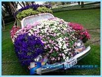 Vacker design och dekoration av blomsterrabatter och blommor i landet