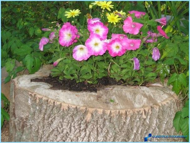 Beautiful design and decoration of flower beds and flower beds at the cottage