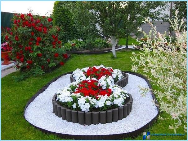 Schönes Design und Dekoration von Blumenbeeten und Blumenbeeten im Land