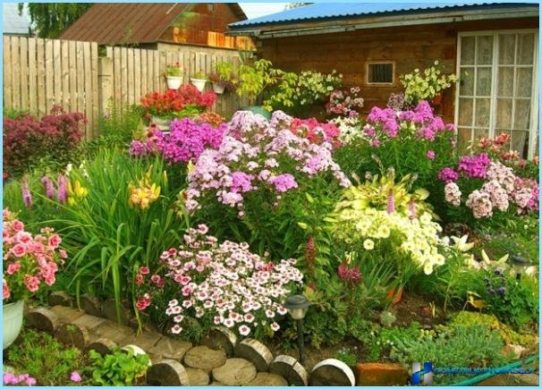 Beautiful design and decoration of flower beds and flower beds at the cottage