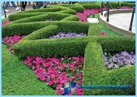 Beautiful design and decoration of flower beds and flower beds at the cottage