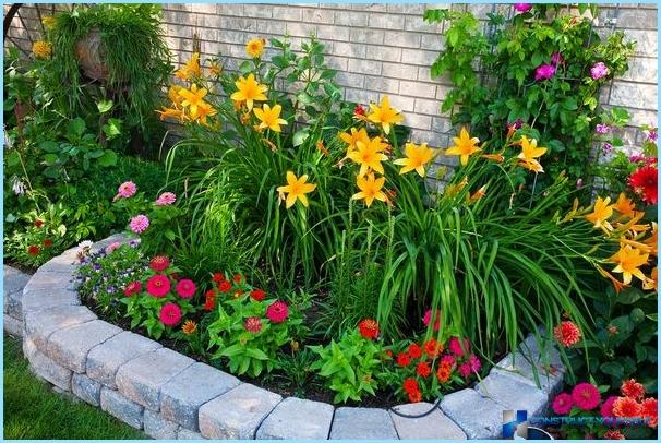 Beautiful design and decoration of flower beds and flower beds at the cottage