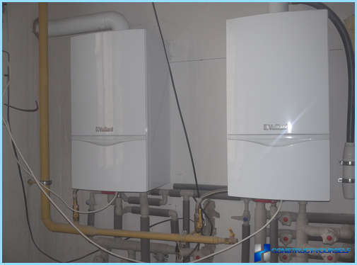 Wall-mounted gas boiler