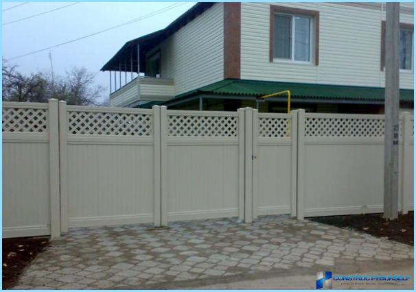 Decorative plastic fence