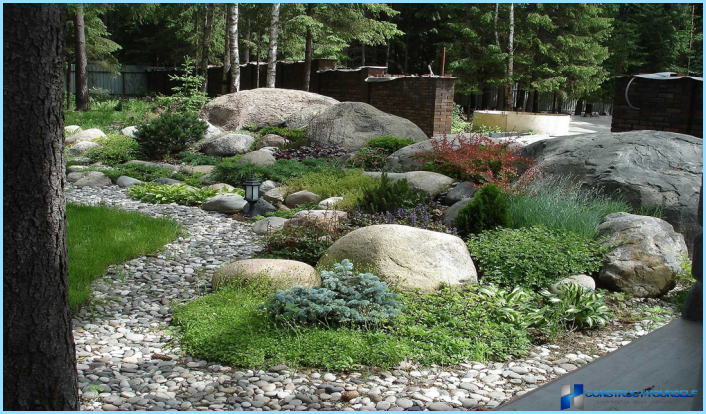 What plants are used for rockeries