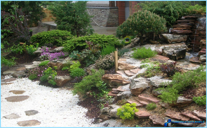 Rockery landscape design