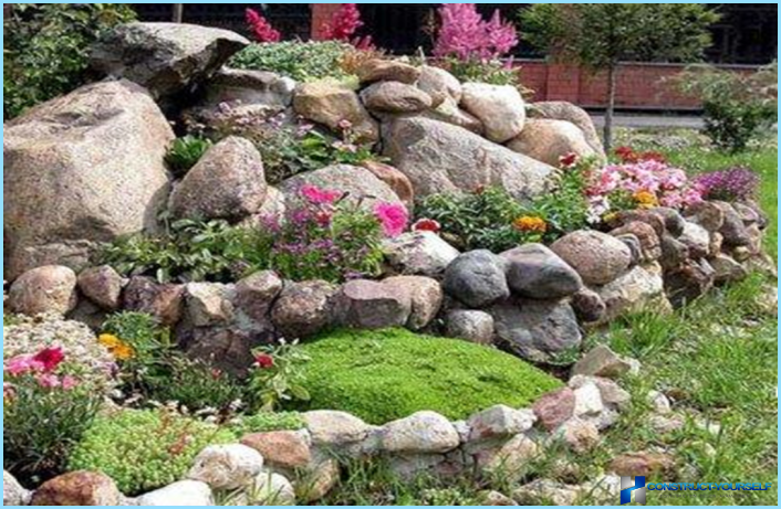 Rockery landscape design