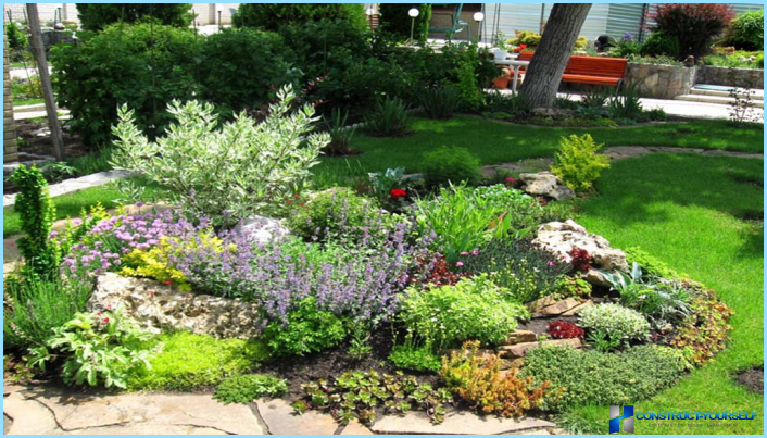 Rockery landscape design