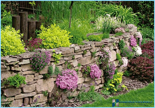 Rockery landscape design