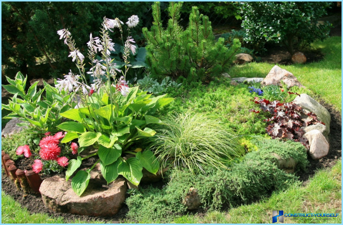 Rockery landscape design