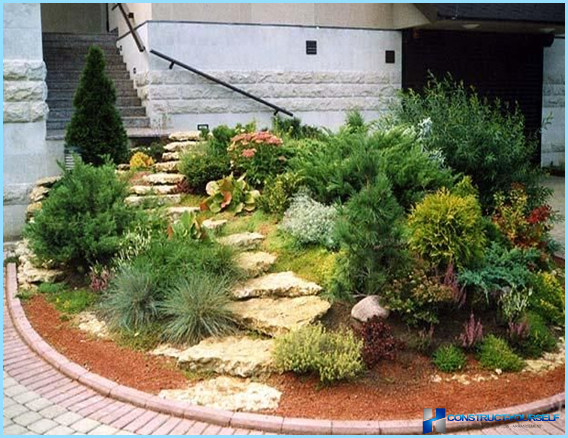 Plants and flowers for the Alpine slide