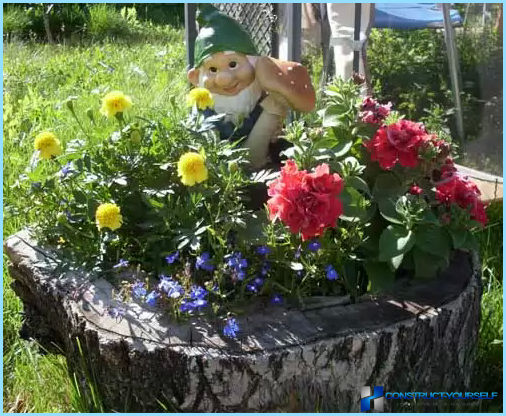 Beautiful design and decoration of flower beds and flower beds at the cottage