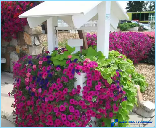 Beautiful design and decoration of flower beds and flower beds at the cottage