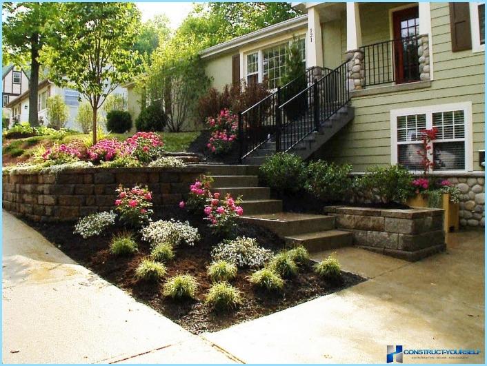 Examples of landscape design on 6 acres