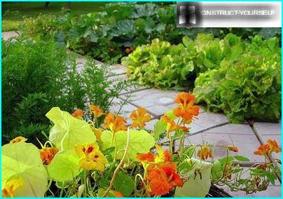 Décoration de parterres de légumes avec des fleurs