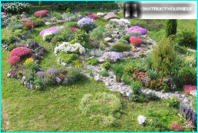 Rockery consists of several rocky and gravel beds