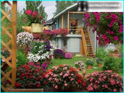 Hanging plant garden