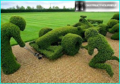 Frame Topiary Formula 1