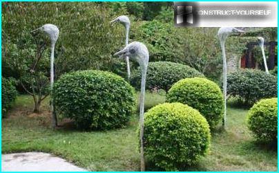Frame topiary ostrich