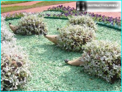 Pindsvin rammer topiary