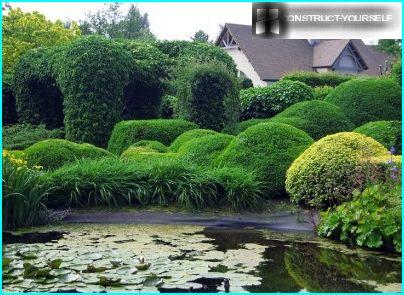 The landscape of topiary