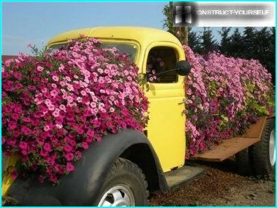 Blumenbeet in einem alten Auto