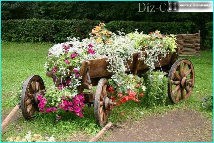 Ampelistische soorten petunia's