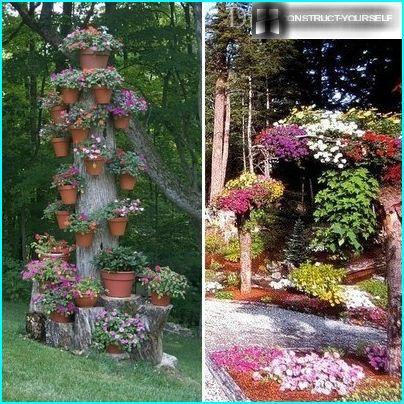 Vertical beds of tree trunks